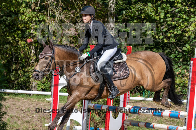RFV Dinslaken-Hiesfeld (Herbstturnier)