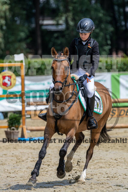 Goldene Schärpe 2021 - Ponys