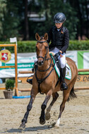Goldene Schärpe 2021 - Ponys