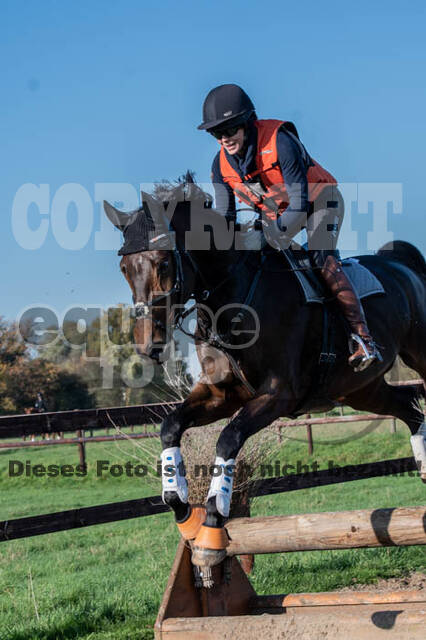 Vielseitigkeitslehrgang mit Jürg Kurbel (9.+10.11.2019)