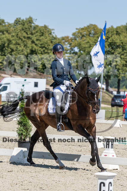 Kronenberg - De Peelbergen (August 2020)