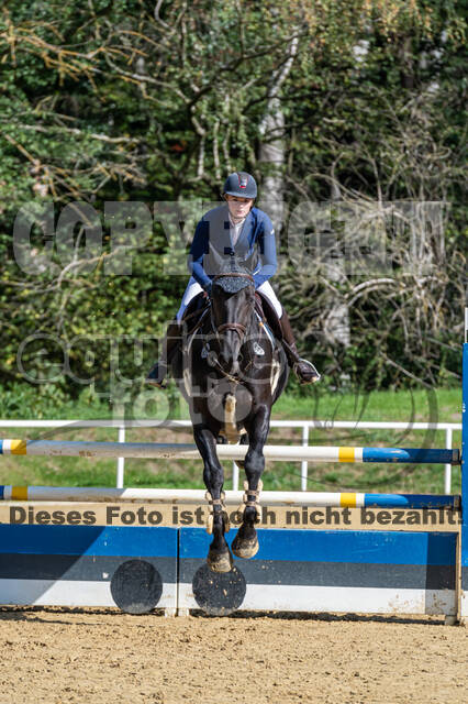 RFV Dinslaken-Hiesfeld (Herbstturnier)