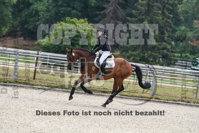 Late-Entry-Vielseitigkeit Langenfeld (11.+13./14.06.2020)