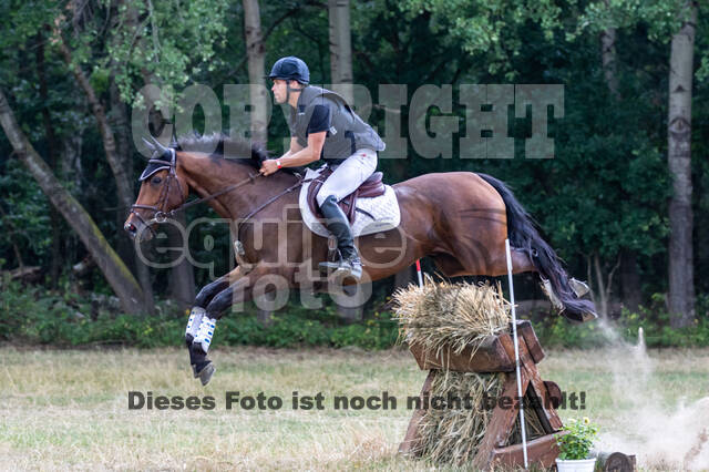 Late-Entry Vielseitigkeit Hamminkeln/Wesel (01.+02.08.2020)
