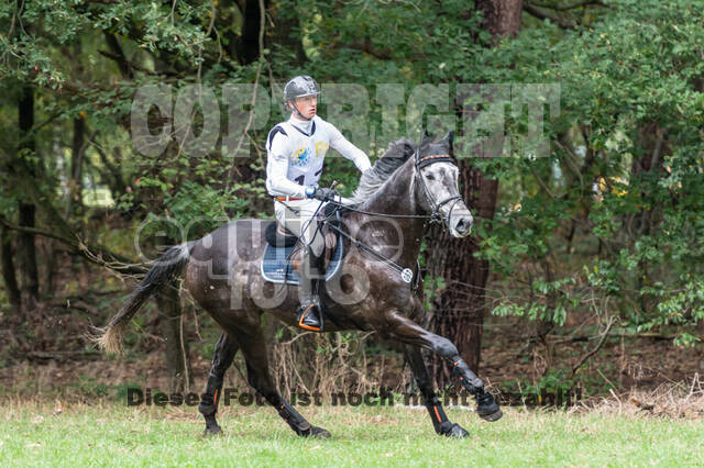 Vielseitigkeit RSV Wesel Obrighoven (26.+27.09.2020)