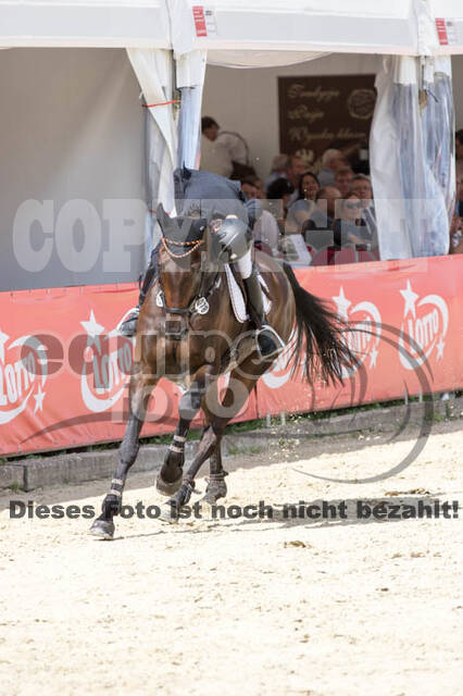 FEI European Championship Eventing 2017