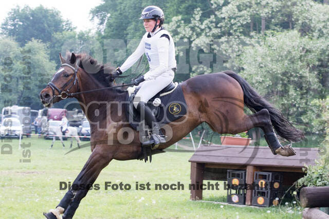 Vielseitigkeitsturnier ZRFV von Lützow Hamminkeln
