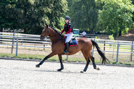 Late-Entry-Vielseitigkeit Langenfeld (11.+13./14.06.2020)