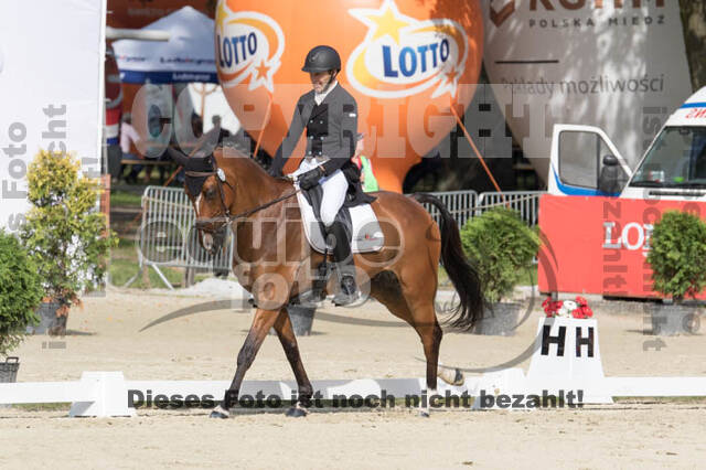 FEI European Championship Eventing 2017