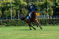 Kronenberg - De Peelbergen (August 2020)