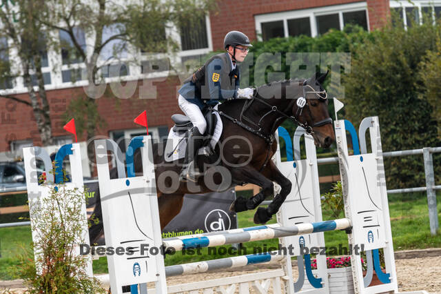 Goldene Schärpe 2020 - Pferde