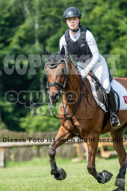 Goldene Schärpe 2021 - Ponys