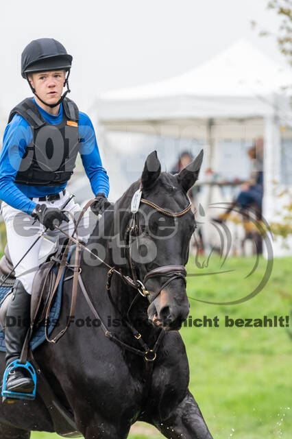 Goldene Schärpe 2020 - Pferde