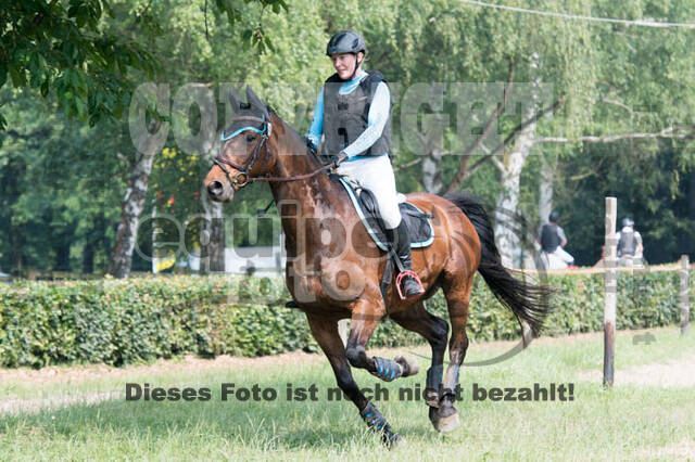 RFV Bad Honnef