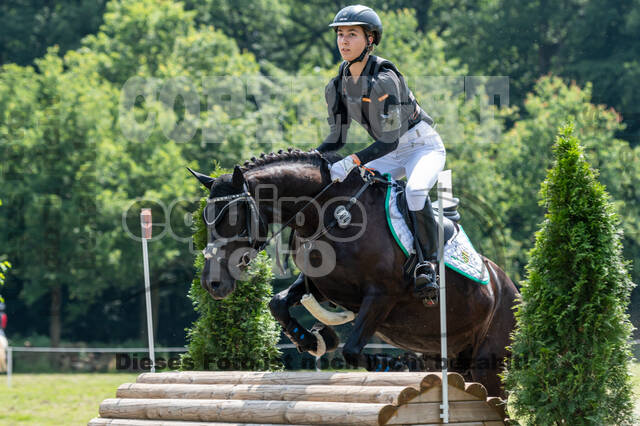 Goldene Schärpe 2021 - Ponys