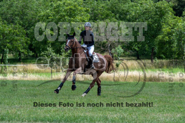 Bonn-Rodderberg Late-Entry-Vielseitigkeit (30.06.2020)