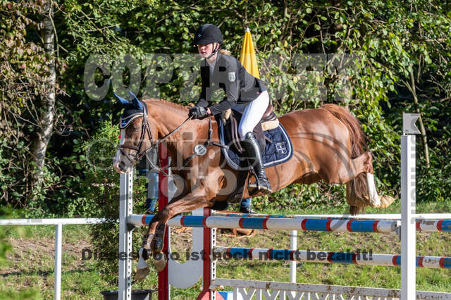 RFV Dinslaken-Hiesfeld (Herbstturnier)