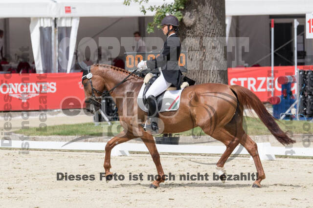 FEI European Championship Eventing 2017