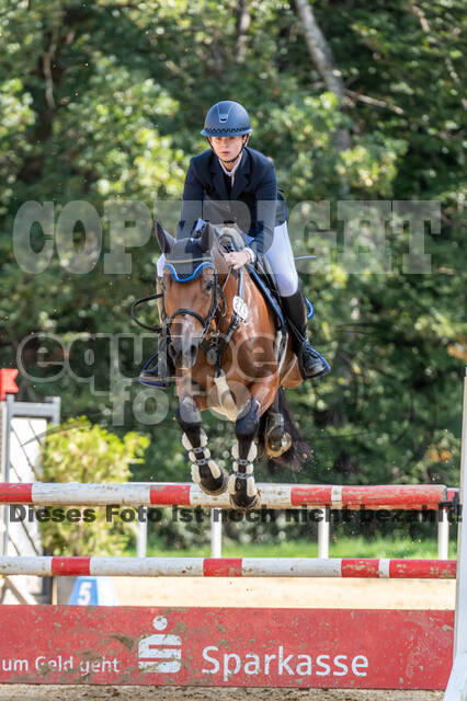 RFV Dinslaken-Hiesfeld (Herbstturnier)