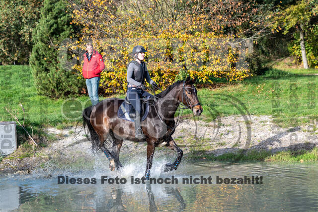 IGV Lehrgang der Sieger der Cups mit Frank Ostholt