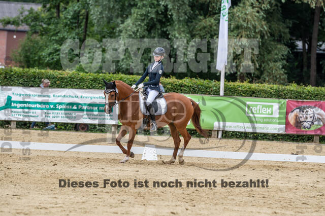 Goldene Schärpe 2021 - Ponys