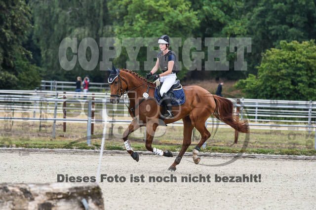 Late-Entry-Vielseitigkeit Langenfeld (11.+13./14.06.2020)