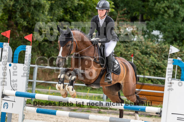 Late-Entry-Vielseitigkeit Langenfeld (06.+07.07.2020)