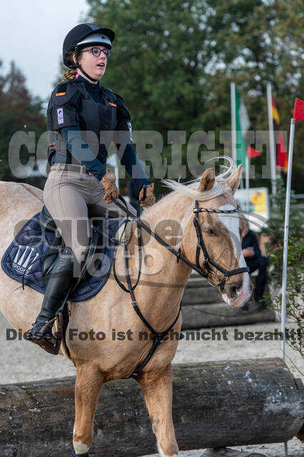 IGV Lehrgang der Sieger der Cups mit Frank Ostholt