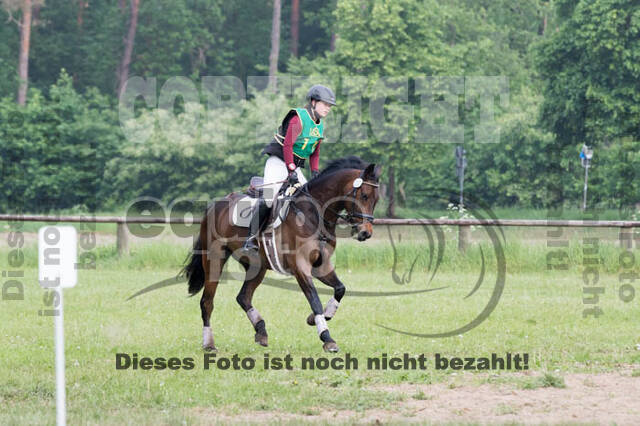 Vielseitigkeitsturnier ZRFV von Lützow Hamminkeln