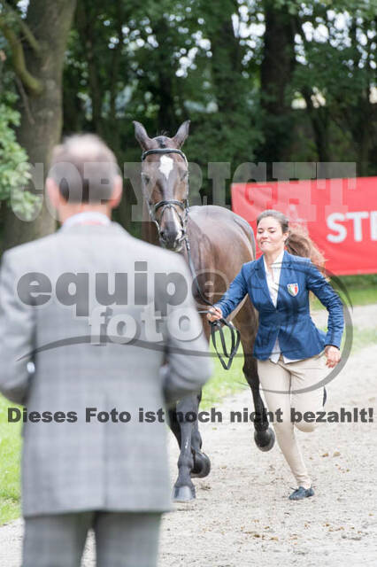 FEI European Championship
