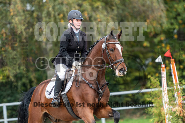 Goldene Schärpe 2020 - Pferde