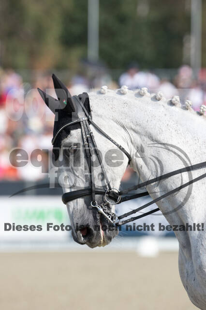 FEI European Championship Eventing 2019