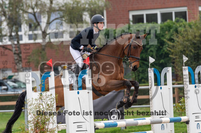 Goldene Schärpe 2020 - Pferde