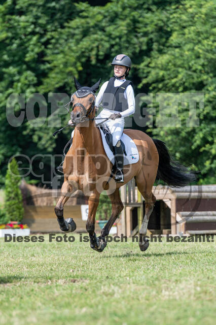 Goldene Schärpe 2021 - Ponys