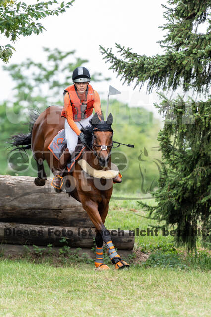Late-Entry-Vielseitigkeit Langenfeld (11.+13./14.06.2020)