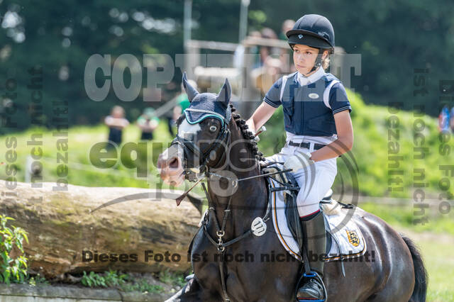 Goldene Schärpe 2021 - Ponys