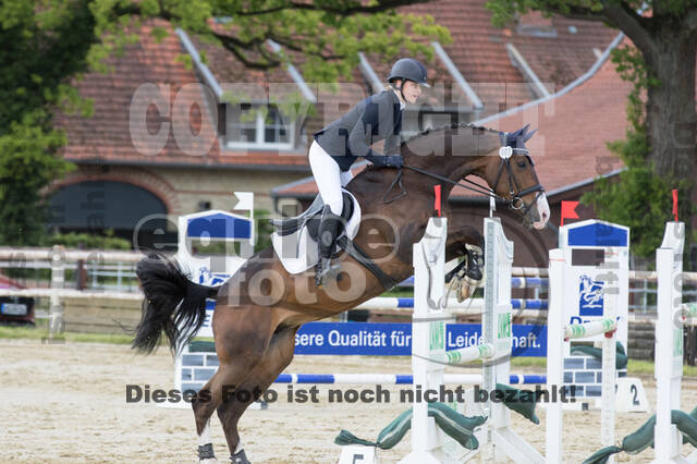 Sterne über Münster 2019 - CCI***S