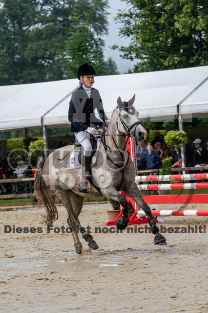 Goldene Schärpe 2021 - Ponys