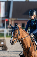 IGV Lehrgang der Sieger der Cups mit Frank Ostholt