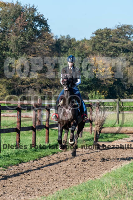 Vielseitigkeitslehrgang mit Jürg Kurbel (9.+10.11.2019)