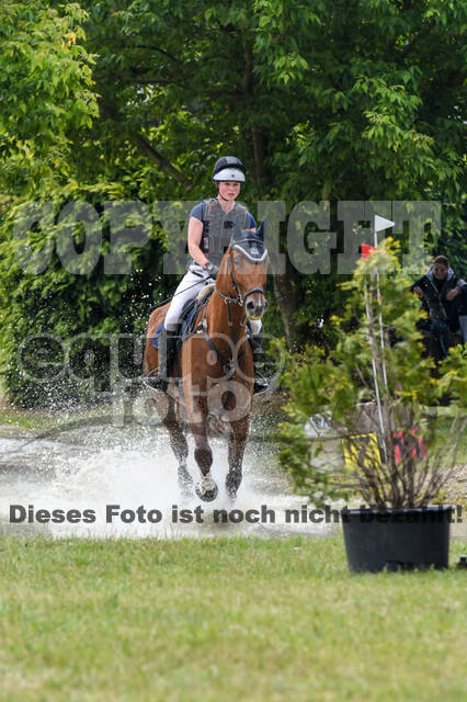 Late-Entry-Vielseitigkeit Langenfeld (11.+13./14.06.2020)