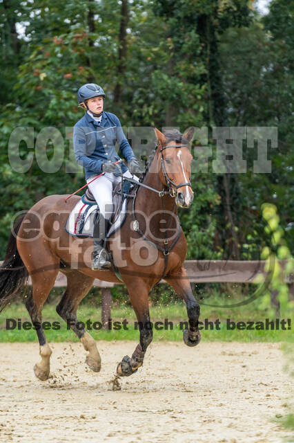 Vielseitigkeit RSV Wesel Obrighoven (26.+27.09.2020)