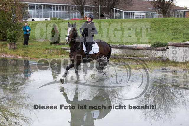 IGV Lehrgang der Sieger der Cups mit Frank Ostholt