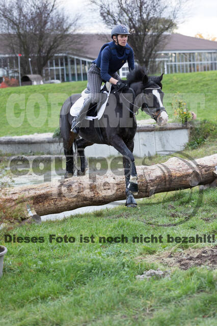 IGV Lehrgang der Sieger der Cups mit Frank Ostholt