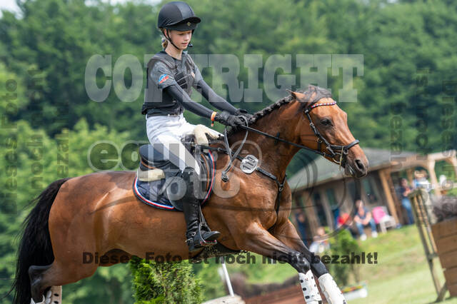 Goldene Schärpe 2021 - Ponys