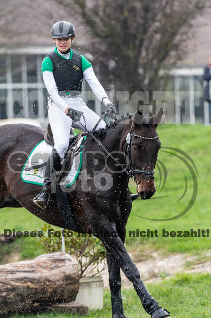 Goldene Schärpe 2020 - Pferde
