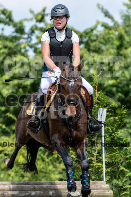 Goldene Schärpe 2021 - Ponys