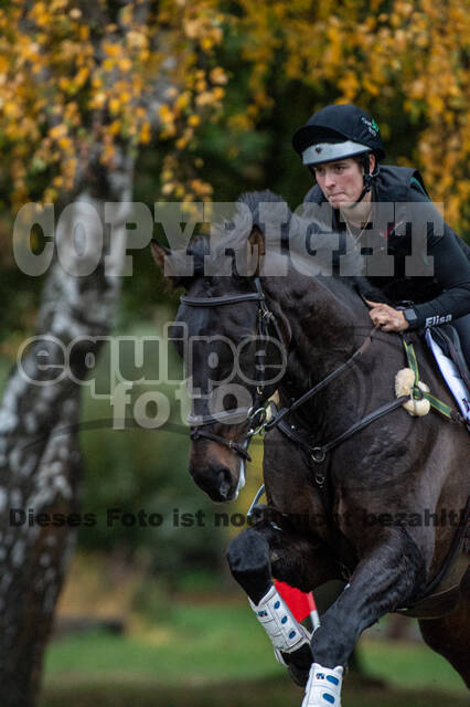 Training Bettina Hoy (01.11.2020)
