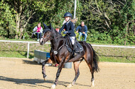 RFV Dinslaken-Hiesfeld (Herbstturnier)