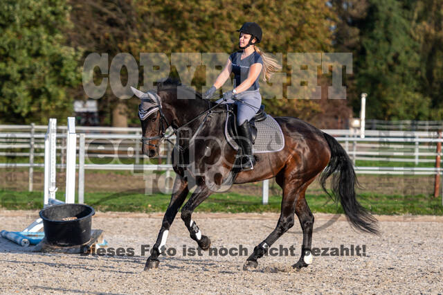 IGV Lehrgang der Sieger der Cups mit Frank Ostholt